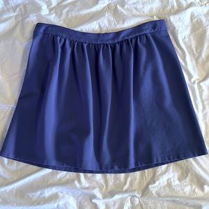 J.Crew Blue Minskirt